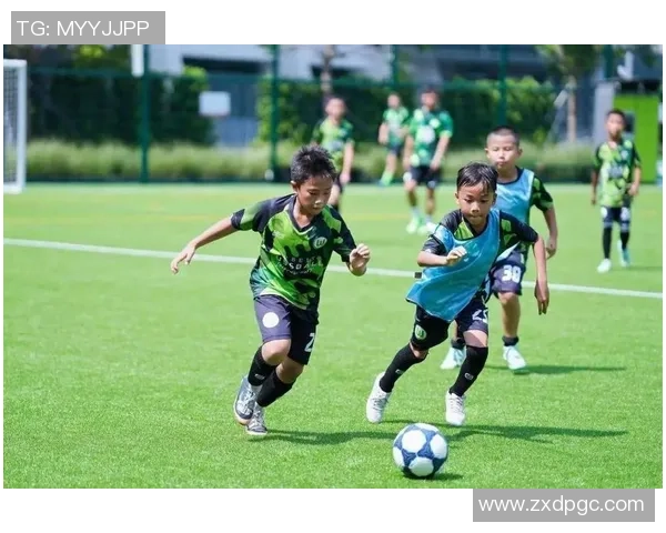 足球小蘑菇的成长之路：从草地到赛场的精彩旅程与梦想追逐